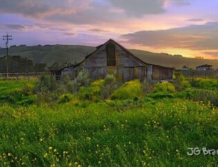 This is an image of a barn in Sonoma County, CA.
