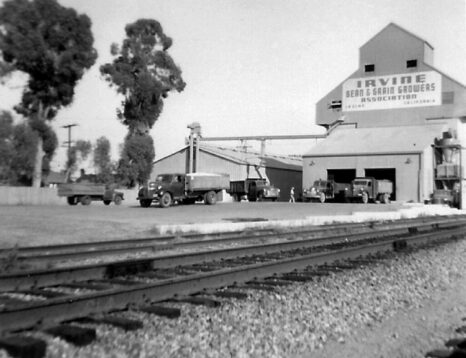 This is an image of the city of Irvine in 1957. It shows a rural farm building with trucks.